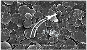 銀元狀鋁顏料.jpg